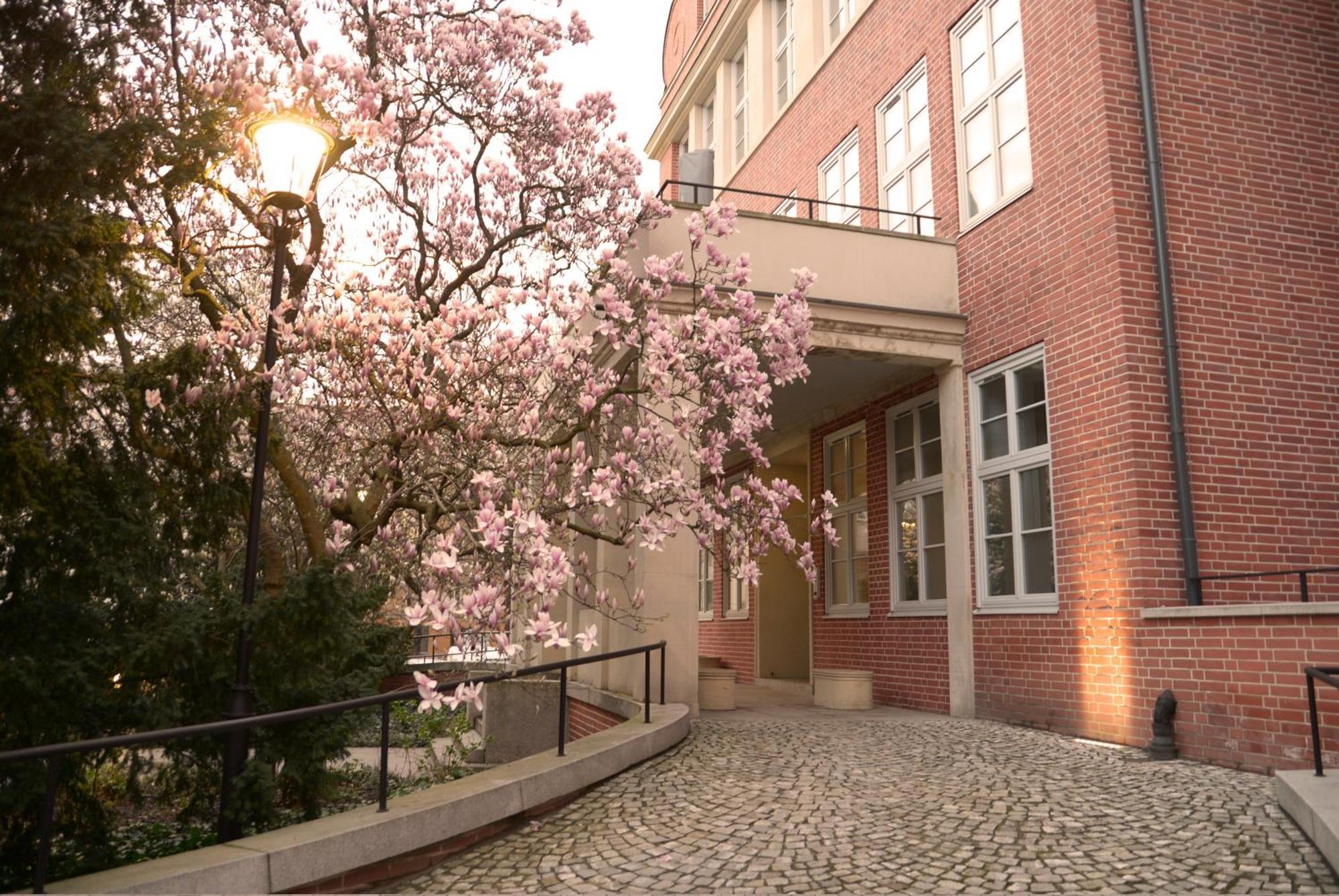 Rooms In Historic Heart Of Wroclaw Breslávia Exterior foto